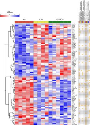 Signaling network analysis reveals fostamatinib as a potential drug to control platelet hyperactivation during SARS-CoV-2 infection